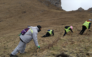 非法采挖蟲草的常見誤區(qū)、合規(guī)清單、采集證辦理流程與價值鑒定要點