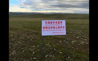 高原之上，蟲草共生；守護(hù)生態(tài)，東強(qiáng)堂與你同行