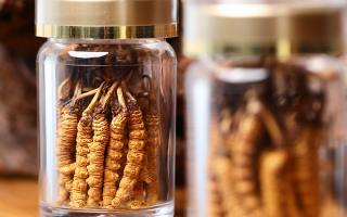 正宗冬蟲(chóng)夏草哪家便宜？——教你選對(duì)低價(jià)正品渠道