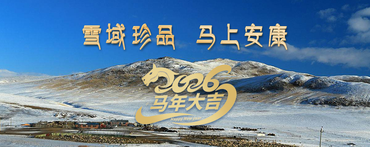 雪域高原藏珍品，2026愿您馬上安康——來自西藏那曲蟲草網(wǎng)的新春祝福