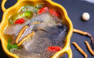 那曲冬蟲夏草辨別全指南｜教你避開市場陷阱，認準正宗珍品