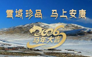 雪域高原藏珍品，2026愿您馬上安康——來自西藏那曲蟲草網(wǎng)的新春祝福